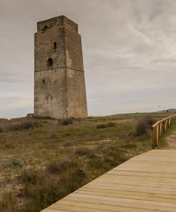 Sendero Prado de Castilnovo (Conil de la Frontera - Cádiz)