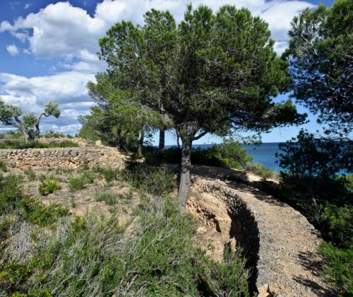 Camí de Ronda l'Ametlla de Mar (Ametlla de Mar - Tarragona)