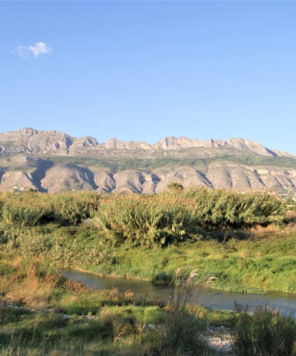 Sender fluvial Zona humida de la desembocadura del riu Algar (Altea)
