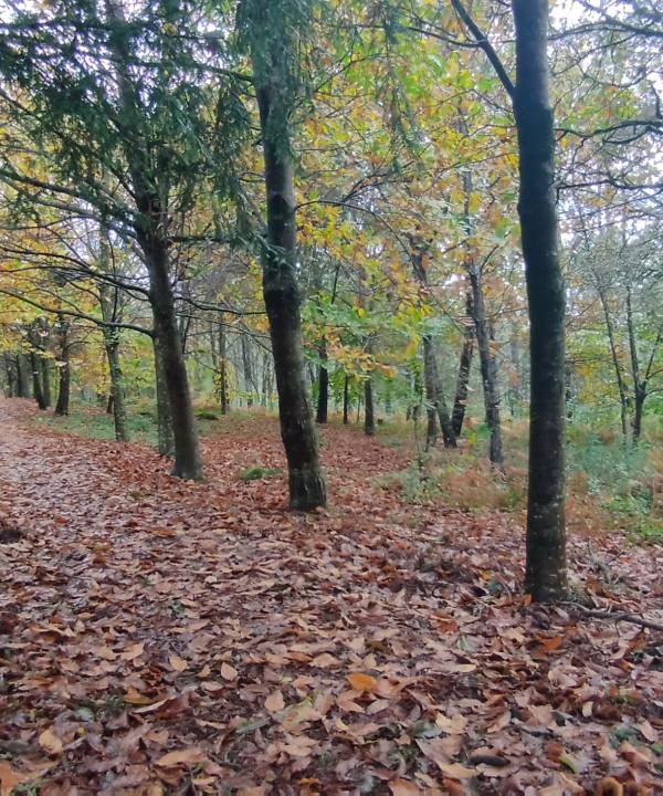Sendeiro local de Candeán (Vigo)