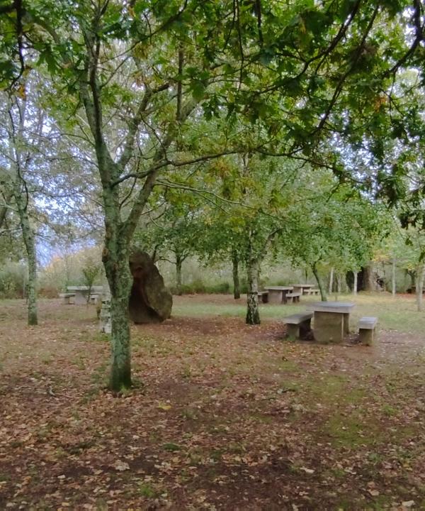 Sendeiro local de Matamá - Comesaña (Vigo)