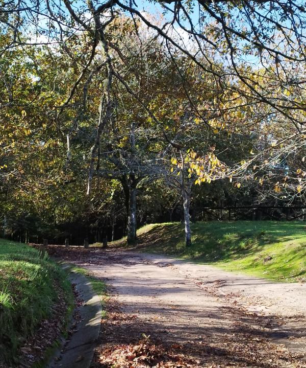 Sendeiro Local Bembrive - Beade (Vigo)