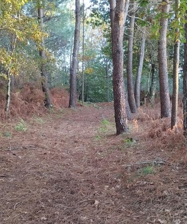 Sendeiro local de Cabral (Vigo)