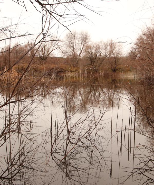 Lagunas de Horna (Getafe)