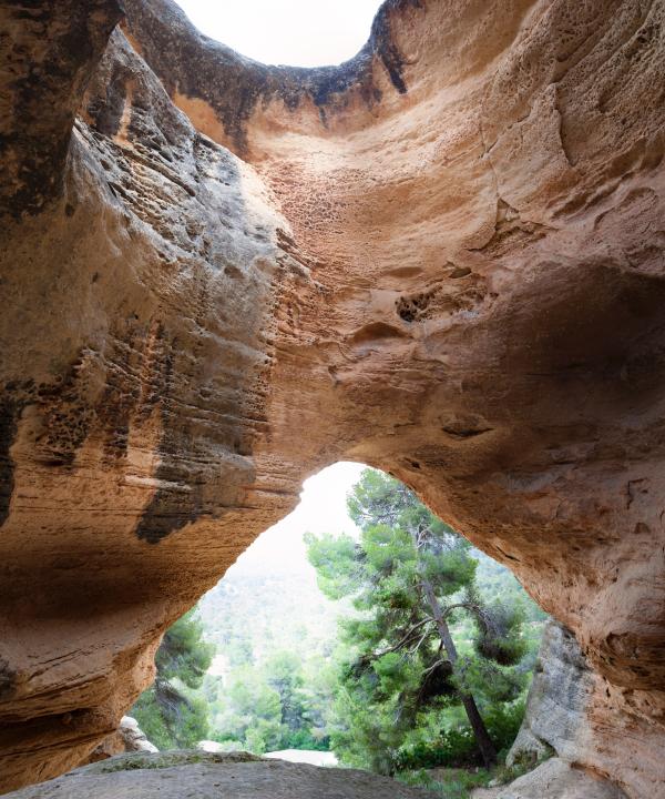 Monte Arabí (Yecla)