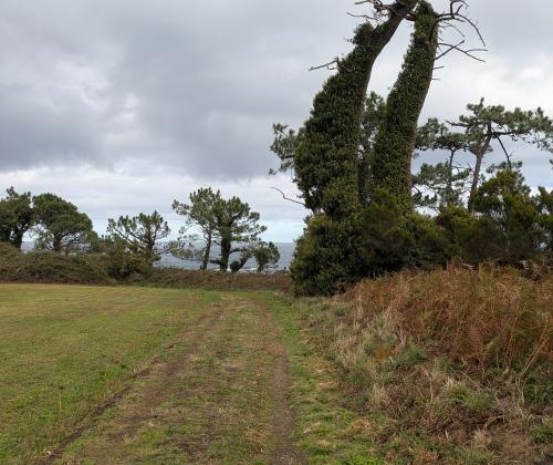 Senda Costera Castello - Porcía (El Franco)
