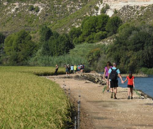 Sendero de El Bayo