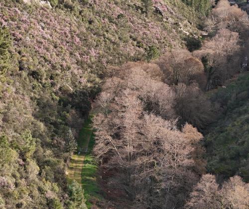 Sendero Desfiladero del Ruecas