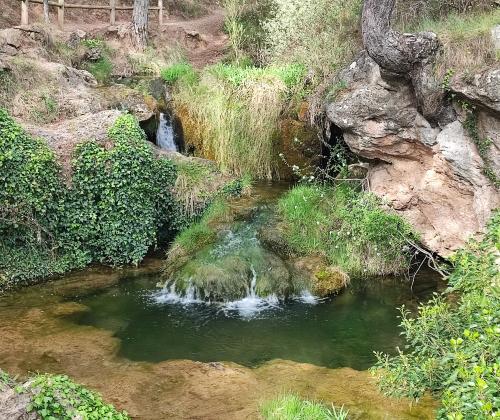 Sendero Fluvial Las Fuentes (Manzanera - Torrijas)