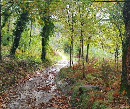 Sendeiro local de Saiáns (Vigo)