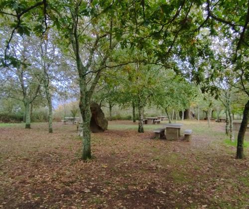 Sendeiro local de Matamá - Comesaña (Vigo)