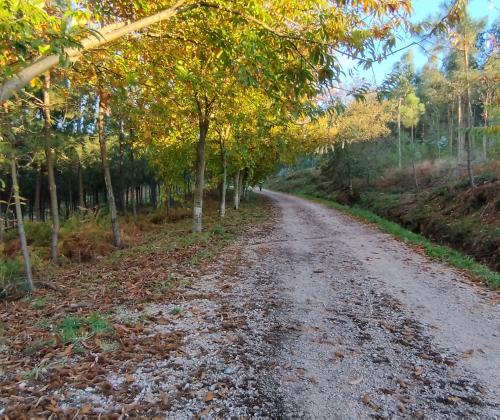 Sendeiro local de Oia (Vigo)