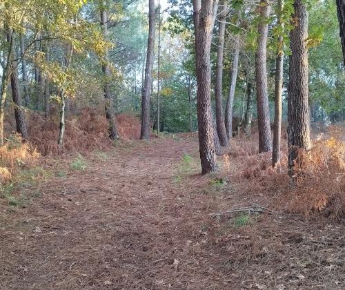 Sendeiro local de Cabral (Vigo)