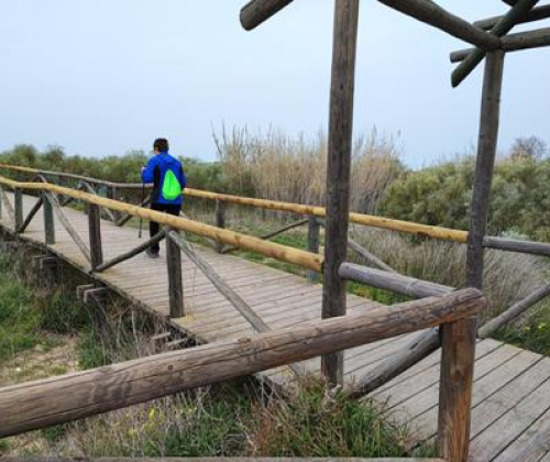 Corredor Verde Costa Ballena (Chipiona)