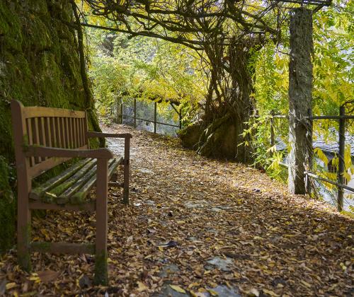 Sendero Termal y de Salud de O Carballiño
