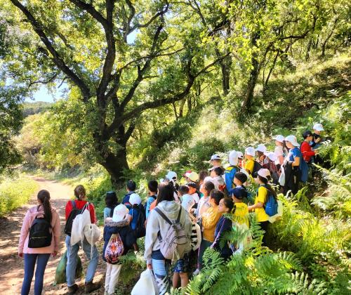 Arroyo de la Alhaja (San Roque)